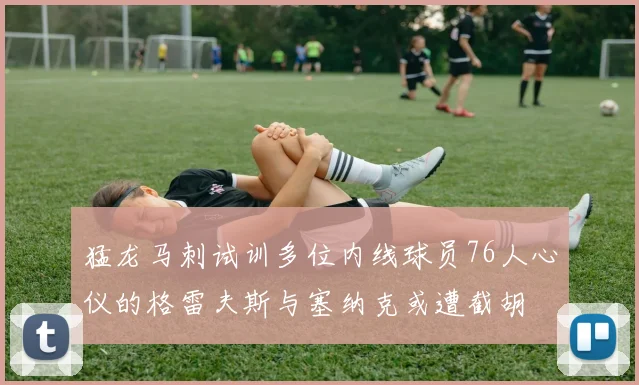 猛龙马刺试训多位内线球员76人心仪的格雷夫斯与塞纳克或遭截胡