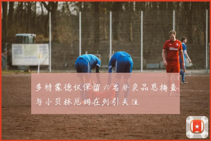 多特蒙德仅保留六名非卖品恩梅查与小贝林厄姆在列引关注